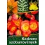 Kedvenc szobanövények