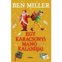 Egy karácsonyi manó kalandjai