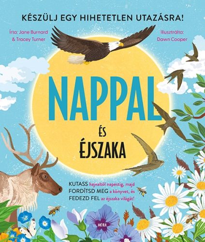 Nappal és éjszaka