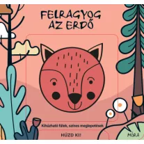 Felragyog az erdő