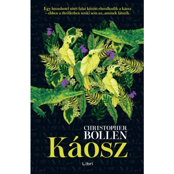 Káosz Káosz