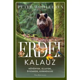 Erdei kalauz - Növények, állatok, évszakok, kirándulás