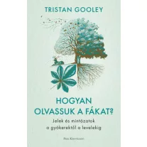 Hogyan olvassuk a fákat?