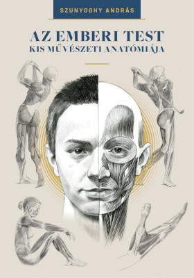 Az emberi test kis művészeti anatómiája