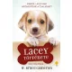 Egy kutya négy élete - Lacey története