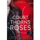 A Court of Thorns and Roses - Tüskék és rózsák udvara (Tüskék és Rózsák udvara 1.)