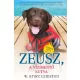 Zeusz, A vízimentő kutya (Kutyák küldetésen 1.)