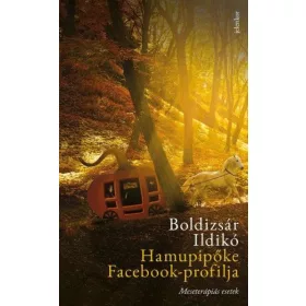 Hamupipőke Facebook-profilja