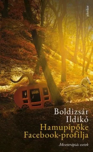 Hamupipőke Facebook-profilja