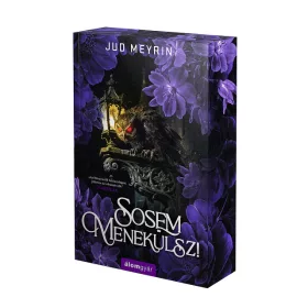 Sosem menekülsz - Élfestett kiadás