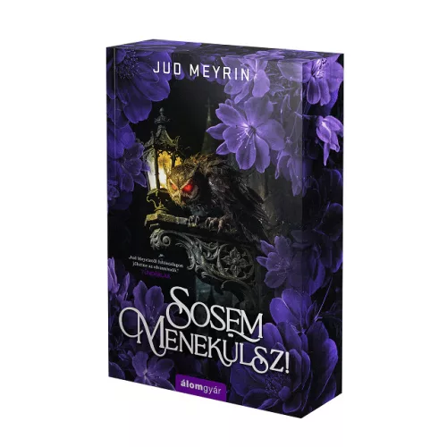 Sosem menekülsz - Élfestett kiadás