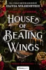 House of Beating Wings – Verdeső szárnyak - Élfestett kiadás