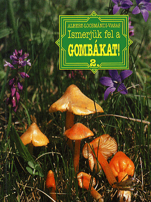 Ismerjük fel a gombákat 2.