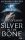 Silver in the Bone - Ezüst és csont