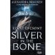 Silver in the Bone - Ezüst és csont