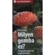 Milyen gomba ez? - 170 gomba egyszerű meghatározása