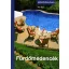 Fürdőmedencék