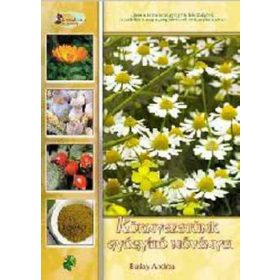 Környezetünk gyógyító növényei