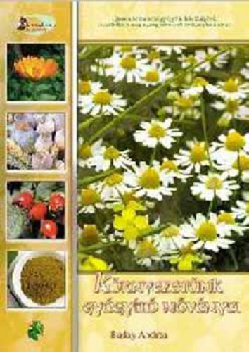 Környezetünk gyógyító növényei