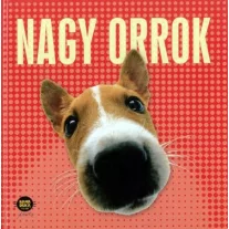Nagy orrok