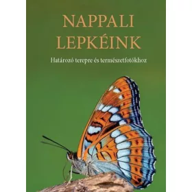 Nappali lepkéink