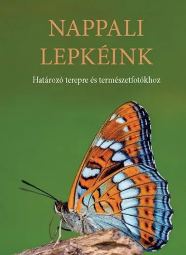 Nappali lepkéink