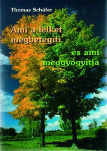 Ami a lelket megbetegíti és ami meggyógyítja