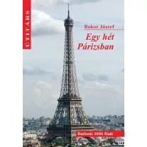 Egy hét Párizsban - Útitárs