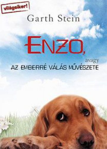 Enzo, avagy az emberré válás művészete