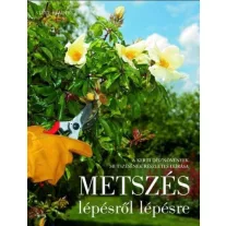 Metszés lépésről lépésre