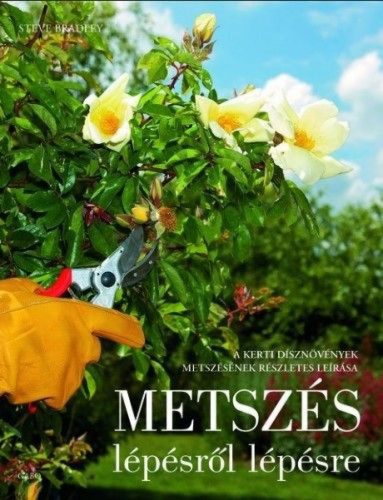 Metszés lépésről lépésre