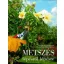 Metszés lépésről lépésre