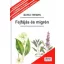 Fejfájás és migrén