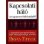 Kapcsolati háló
