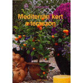 Mediterrán kert a teraszon