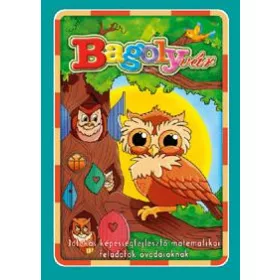 Bagolyvár - Játékos képességfejlesztő matematikai feladatok óvodásoknak