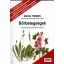 Bőrbetegségek