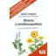 Stressz a mindennapokban
