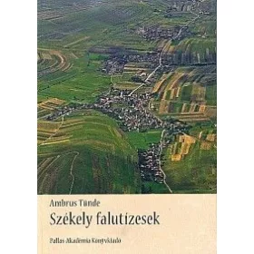 Székely falutízesek